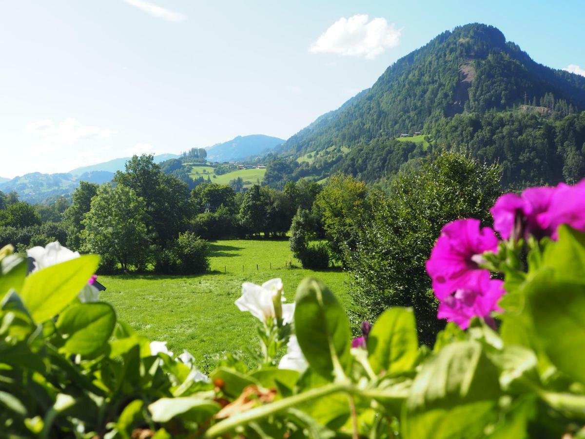 Rohrmoser Appartements Sankt Johann im Pongau Luaran gambar